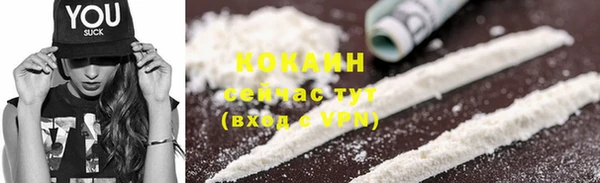гашик Белокуриха