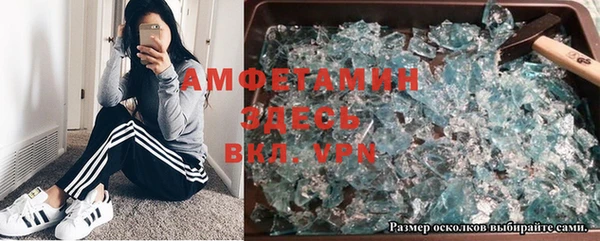 гашик Белокуриха