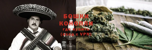 гашик Белокуриха