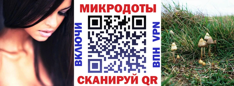 Псилоцибиновые грибы MAGIC MUSHROOMS Кстово