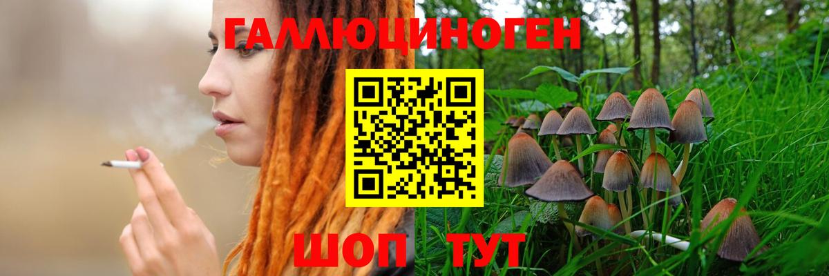 Галлюциногенные грибы мухоморы Кстово